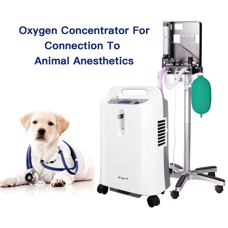 Customizes Oxygen Supply To Pet's Weight And Condition New Adjustable Flow Rate 5L Veterinary Oxygen Concentrator manufacturers