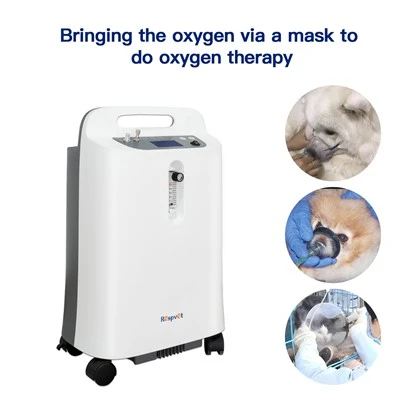 Lồng oxy thú cưng Icu thú y chất lượng cao cho máy tập trung oxy 5l