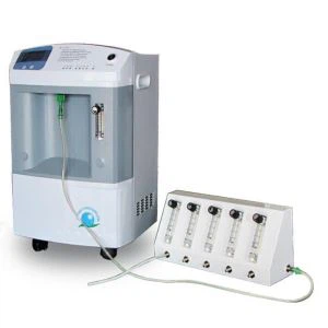 Bộ tập trung oxy 10L với bộ tách dòng 5