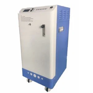 Máy tạo ozone 8-28g để lọc nước