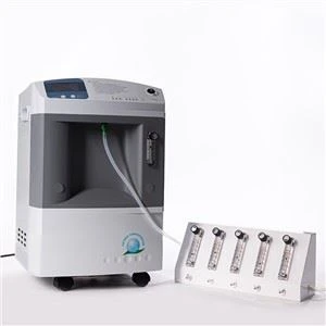 Máy tập trung oxy 10lpm Kết nối với Bộ chia dòng