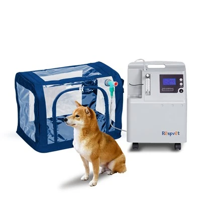 Thiết bị trị liệu oxy thú y